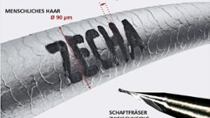 Wie klein die Werkzeuge des Preisträgers Zecha aus Königsbach-Stein sind, zeigt der eingravierte Firmenname in einem menschlichen Haar. Foto: Fotos: Zecha GmbH/Stefanie Morlok Fotografie
