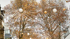 Die Platanen sind aktuell  Weihnachtsbäume. Foto: Stefan Jehle//cf