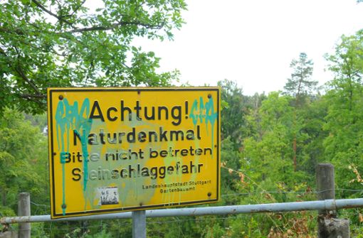 Hier am Kotzenloch finden sich für Stuttgart seltene Pflanzen. Foto: Torsten Schöll