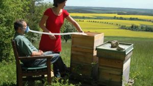 Behörde hält Bienenluft-Therapie für gefährlich