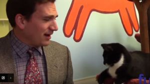Paul Preston versucht, die Katzen an den Mann oder die Frau zu bringen. Foto: Screenshot Youtube / Furkids Animal Rescue and Shelters