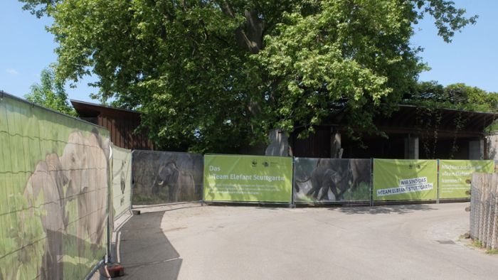 Zoo sucht mit Transparenten Verstärkung  für das Team Elefant