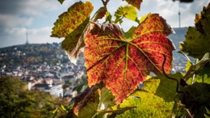 Der Herbst in Stuttgart beschert uns vom kommenden Wochenende an noch einmal warme und sonnige Tage. Foto: Lichtgut/Achim Zweygarth