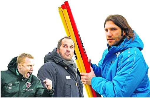 Torsten Frings (rechts) ist neu in Darmstadt, Manuel Baum (Mitte) wurde in Augsburg befördert, der FC Ingolstadt engagierte Maik Walpurgis. Foto: dpa