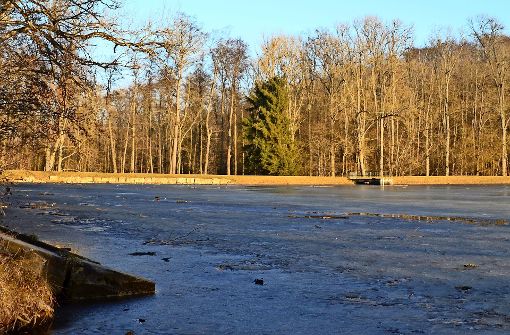 Ginge es nach Peta, könnte  das Angeln am Katzenbachsee bald verboten sein. Noch ist allerdings nicht entschieden, wer die Seen bekommt. Foto: Sandra Hintermayr