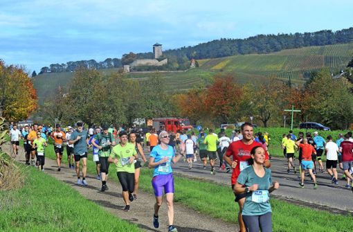Traumwetter und Teilnehmerrekord – der Bottwartal-Marathon war auch 2019 ein Riesenerfolg. Foto: Archiv (Werner Kuhnle)