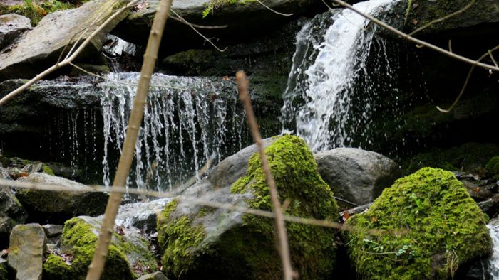 Die Heslacher Wasserfälle faszinieren derzeit besonders