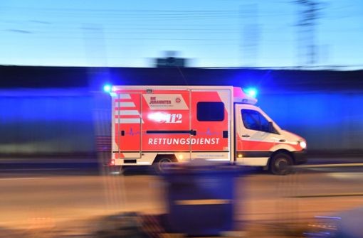 Die verletzte Fußgängerin wurde mit dem Rettungsdienst  ins Krankenhaus gebracht. Foto: dpa/Boris Roessler