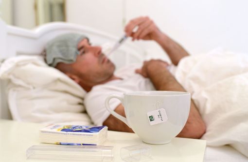 Viel Schlaf ist hilfreich, wenn man von der Grippe heimgesucht wurde. Foto: dpa