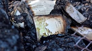 Verbrannte Bücher in der Jagger-Bibliothek der Universität Kapstadt Foto: dpa/Lerato Maduna