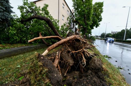 In Zagreb  ist es am Mittwoch zu schweren Unwettern gekommen. Foto: AFP/DENIS LOVROVIC