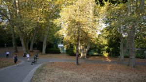 Auch im vergangenen Sommer waren die Wiesen im Schlossgarten bereits stark ausgetrocknet (Bild von August 2022). Foto: Lichtgut/Leif Piechowski