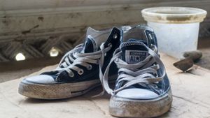 Werden die Schuhe in der Waschmaschine wieder sauber? Foto: GrandTriumph / shutterstock.com