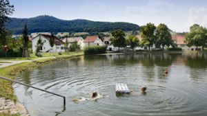 Der Bissinger See: Die Wasserqualität des kleinen Sees, soll laut dem Landesamt für Umwelt Baden-Württemberg ausgezeichnet sein. Foto: Horst Rudel