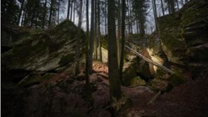 Die Hägelesklinge ist eine der spektakulärsten Felsformationen im Schwäbischen Wald. Foto: Gottfried Stoppel/Gottfried Stoppel