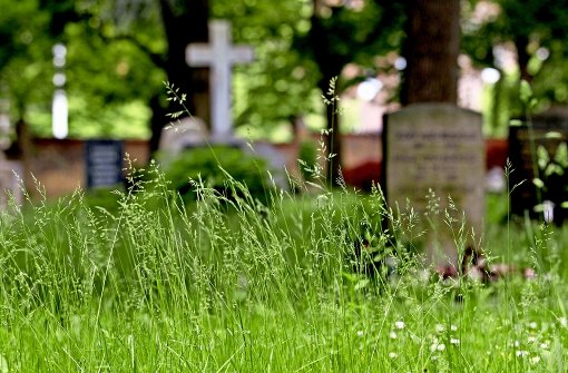 Wiese statt Rasen: Gras und Unkraut sind so in die Höhe geschossen, dass Angehörige die Gräber ihrer Verstorbenen kaum noch sehen. Foto: Lichtgut/Leif Piechowski
