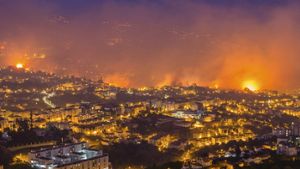 Die Waldbrände in Madeira haben ein beängstigendes Ausmaß angenommen. Foto: LUSA