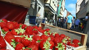 Nach zweijährigem Fasten   steht die Küferstraße wieder im Zeichen der Erdbeere. Foto: /Peter Stotz