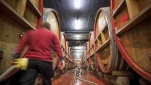 Der Weinbau – hier ein Foto aus dem Fasskeller der Remstalkellerei – gerät wirtschaftlich zunehmend unter Druck. Foto: © C) Gottfried Stoppel/Gottfried Stoppel