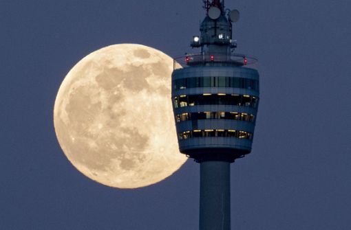 Frühaufsteher konnten am Dienstagmorgen den Supermond bestaunen - wie hier mit dem Stuttgarter Fernsehturm im Bild. Foto: dpa/Marijan Murat