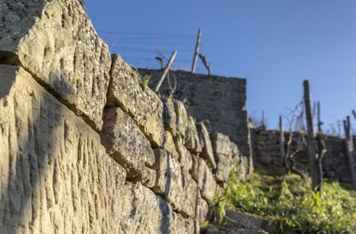 Die Trockenmauern sind auch Lebensraum vieler schützenswerter Tiere Foto: Frank Eppler