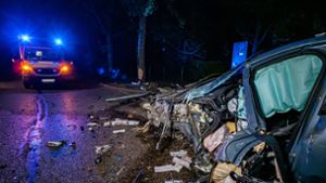Unfall in Stuttgart-Sillenbuch: Alkoholisierter 40-Jähriger flüchtet vor Polizeikontrolle und prallt gegen Baum