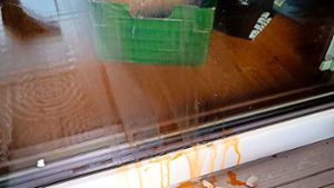 In Erdmannhausen mussten Bewohner  mühsam die Überreste  roher Eier von der Tür  wischen. Foto: privat