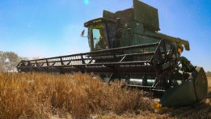 Weizen wird zur Waffe: Ernte in der Ukraine Foto: dpa