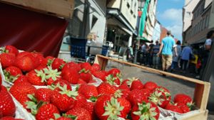 Nach einer coronabedingten Pause hat das Esslinger Erdbeerfest im vergangenen Jahr erstmals wieder stattgefunden. Foto: /Peter Stotz