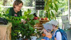 In der Wilhelma erfahren Kinder in den Ferien viel Neues über die Tier- und Pflanzenwelt und den Artenschutz. Foto: Wilhelma Stuttgart