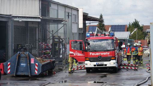 Die Holzgerlinger Feuerwehr war am Donnerstagmittag  im Einsatz. Foto: SDMG/ Dettenmeyer