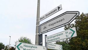 Der  Radweg aus Steinheim sollte bei seiner Ankunft in Höpfigheim anders gestaltet werden, findet eine Rätin. Foto: Werner Kuhnle