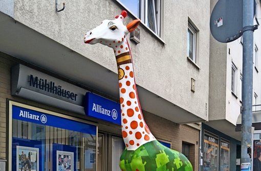 Beim Aufbau ist  ein erster Blick auf die Giraffen möglich gewesen. Foto: Jürgen Brand