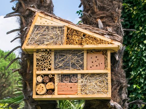 Insektenhotels gibt es in unterschiedlichen Formen und VArianten. Foto: magnetix/Shutterstock.com