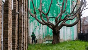 Banksy ließ in London einen kahlen Baum ergrünen. Foto: imago/Cover-Images