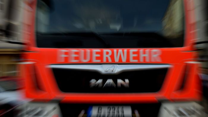 Waldbrand bei Enztalbahn - Polizei vermutet Brandstiftung