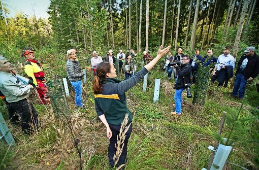 Die Kirchheimer Revierförsterin Carla Hohberger erklärt dem Gemeinderat die nachhaltige Waldwirtschaft. Foto: Horst Rudel