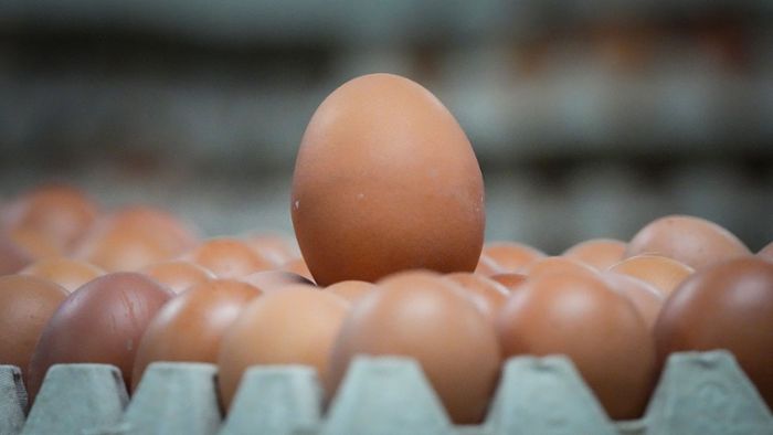 Warum es künftig keine braunen Eier mehr zu kaufen gibt
