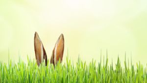 Der Osterhase gehört zu Ostern dazu – aber nicht nur er. Foto: Visions-AD/Fotolia