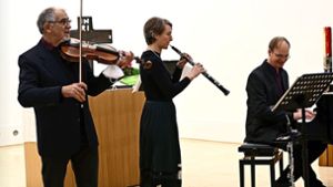 Musik ohne Orgel für die Orgel: In der Johanneskirche spielten (von links) Burkhart Zeh, Elisabeth Wieland und Arnd Pohlmann. Nicht auf dem Foto: die Pianistin Jelena Gartstein-Pohlmann. Foto:  
