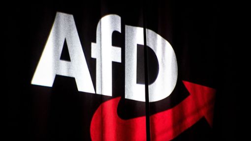 Die AfD-Veranstaltung in Rottweil begann mit Tumulten. (Symbolbild) Foto: dpa/Sina Schuldt