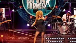 Im Mittelpunkt der neuen Sat.1-Show steht die Frage, welche Coverbands an Musikgrößen wie Tina Turner am besten herankommen. Foto: Sat.1