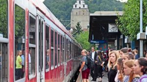 Kommt der Zug? Während der Ferien an Ostern, Pfingsten und im Sommer halten keine aus Stuttgart kommenden  Regionalzüge und S-Bahnen  im Bahnhof Herrenberg. Foto: factum/Archiv
