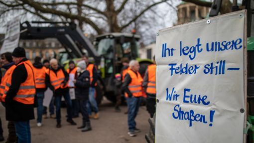 Verstopfte Straßen infolge von Bauernprotesten werden auch Schüler auf ihrem Weg behindern. Foto: dpa/Christoph Schmidt