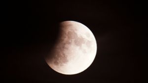 Auch in der Region wie hier in Stuttgart-Neugereut ließ sich der Mond im Kernschatten der Erde beobachten. Foto: Andreas Rosar Fotoagentur-Stuttg