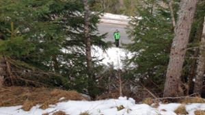 Das mit Skianzug, Helm und Skibrille ausgestattete Mädchen aus Niederösterreich rutschte rund 180 Meter über eine steile und zum Teil gefrorene Wiese. Foto: dpa/Roland Theny