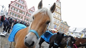 Neben den Vierbeinern steht im Zentrum des Leonberger Pferdemarkts das Feiern an sich. Foto: dpa