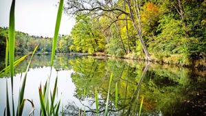 EnBW will zwei Seen verkaufen