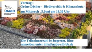 Grüne Dächer -  Biodiversität & Klimaschutz -