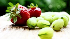 Erdbeeren gehören zu den Klassikern im Kübel. Sie benötigen einen hellen, sonnigen oder halbschattigen Standort. Foto: dpa/Mascha Brichta